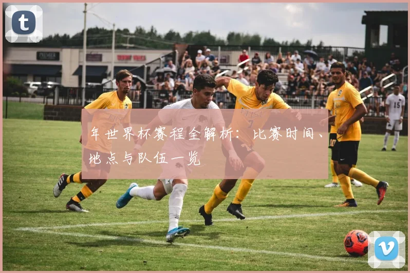 年世界杯赛程全解析：比赛时间、地点与队伍一览